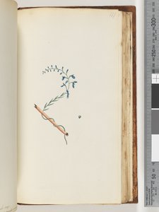 177ページ。正体不明の植物 作： Unknown artist