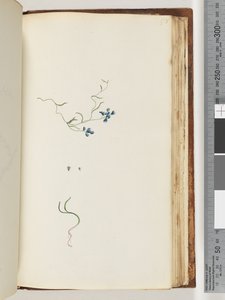 178ページ。正体不明の植物 作： Unknown artist