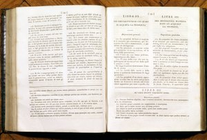 ナポレオン民法のページ、フランス語とイタリア語で 作： Unknown artist
