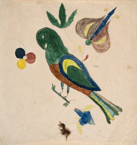 インコ
