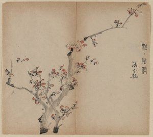 桃の花 作： Unknown artist
