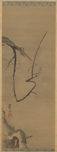 梅 作： Unknown artist
