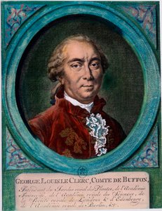 フランスの博物学者・作家であるビュフォン伯爵ジョージ・ルイ・ル・クレール（1707-1788）の肖像。18世紀のエングレーヴィング。個人蔵。 作： Unknown artist