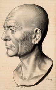 ローマの政治家であるPublius Cornelius Scipio (Scipio the African) Africanus（紀元前235-183年）の肖像。 作： Unknown artist
