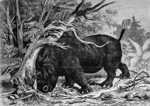 先史時代：サイの祖先であるペリソダクタイル科の恐竜が木を脱臼している様子。19世紀のエングレーヴィング fn 作： Unknown artist