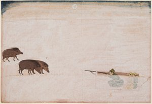 琥珀のラージャ・ラム・チャンド (r. 1667–88) イノシシを狩る 作： Unknown artist