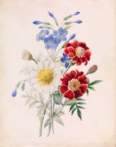 赤と青の花と白いデイジー 作： Unknown artist