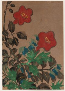 赤と青の花と葉