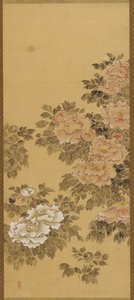 紅白牡丹 作： Unknown artist