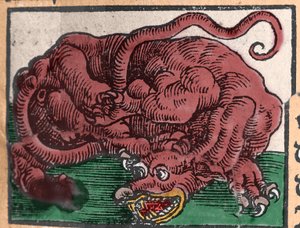 ドラゴンの表現。ヨハン・シュトゥンプフの「Den Edlen Strength Besten Fromen」からのエングレーヴィング。1550 作： Unknown artist