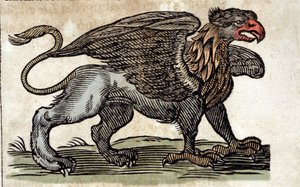 半分が鷲で半分が獅子の幻想的な生き物、グリフォンの表現。イエズス会士で東洋学者のアタナシウス・キルヒャー（1601-1680）の作品からのエングレーヴィング。 作： Unknown artist