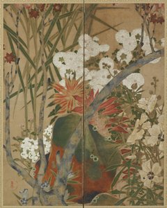 岩、苗木、秋の花