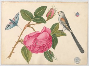 花と蝶とバラの葉の上の小さな白黒の鳥 作： Unknown artist