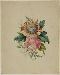 花のしぶき 作： Unknown artist
