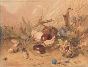 どんぐりとトチの実のある静物 作： Unknown artist