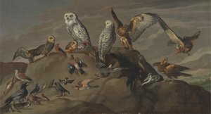 鳥の研究 作： Unknown artist