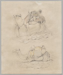 ラクダの研究 作： Unknown artist