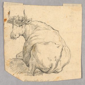 牛の研究 作： Unknown artist