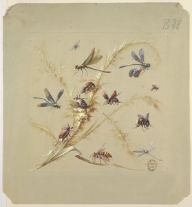 テキスタイルまたは壁紙のデザイン: 昆虫 作： Unknown artist