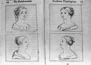 異なる女性の横顔 エルネスト・ヴェニオ（Ernestus Vaenius）が匿名の相手に創造物の美しさを弁護する「Tractatus physiologicus de pulchritudine」から引用したページ。1612