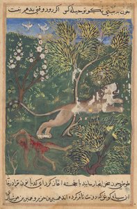 ライオンは猿の裏切りを疑って猿を殺し、トゥティーナマ（オウムの物語）から逃げる：二十九夜 作： Unknown artist