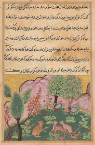 ライオンの侍従として働くサルは、トゥティーナマ (オウムの物語) から、ライオンの領域に定住するために子供たちと一緒に到着したオオヤマネコとその仲間と会話します: 二十九夜