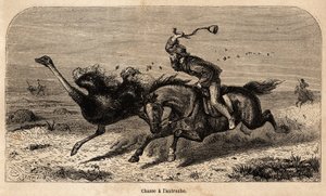 ウィリアム・チャールズ・ボールドウィンが1852年から1860年の間に行ったアフリカでの狩猟の物語を説明するために、写真から描かれたダチョウ狩りの様子。エドゥアール・シャルトン編『Le tour du monde』に掲載されている図版 作： Unknown artist