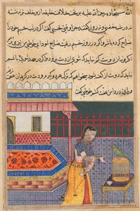 オウムは、Tuti-nama (オウムの物語) から、第 41 夜の初めに Khujasta に話しかけます。 作： Unknown artist
