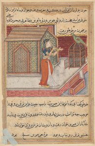 オウムは、Tuti-nama (オウムの物語) から、第 49 夜の初めに Khujasta に話しかけます。 作： Unknown artist