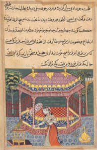オウムは、トゥティーナマ (オウムの物語) から、第 37 夜の初めにクジャスタに話しかけます。 作： Unknown artist