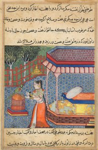 オウムは、トゥティーナマ (オウムの物語) から、第 36 夜の初めにクジャスタに話しかけます。 作： Unknown artist