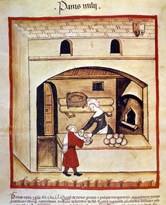 キビを使ったパンの調理法。医食同源のミルキングからのイルミネーション "Tacuinum sanitatis" 作： Unknown artist