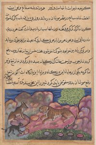 オオカミは、トゥティーナマ (オウムの物語) から、ライオンに猫に相談するようアドバイスします: 15 番目の夜 作： Unknown artist