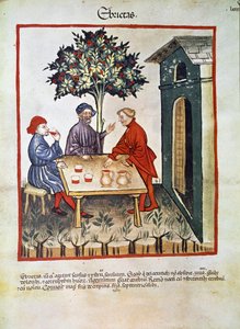 医学を扱う。「Tacuinum sanitatis" (Cod. ser. nov. 2644) からの引用 1400年頃 ウィーン、オスタライシュ国立聖書館 作： Unknown artist