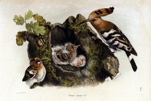 不明な画像 作： Unknown artist