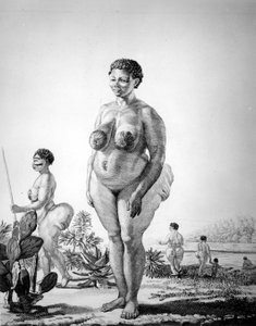 南アフリカのVenus Hottentote 作： Unknown artist
