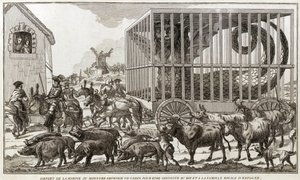 Zoomorphism - Caricature against Mary - Antoinette - スペインの王と王室に連れて行くために、カディスのハーピーまたは水陸両用の怪物から出発した。この動物はファグア湖畔で捕獲された - 1784年 - 。 作： Unknown artist