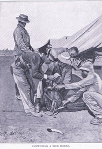病気の馬を治療する様子（ハームズワース・ブラザーズ社刊『After Pretoria: The Guerilla War』より 作： Unknown photographer