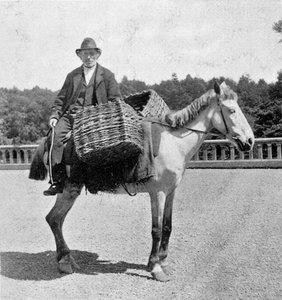 馬に乗ったアイルランド人男性（19世紀）。 作： Unknown photographer
