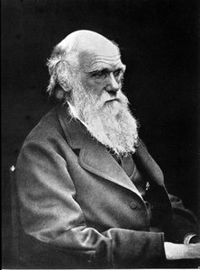 チャールズ・ダーウィン（1809年～1882年）の肖像写真。1881 作： Unknown photographer