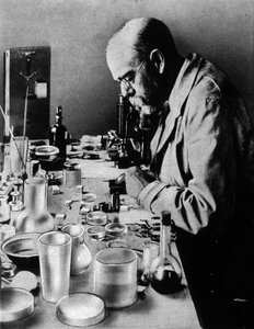 ドイツ人医師ロバート・コッホ（1843-1910）の研究室での肖像。 作： Unknown photographer