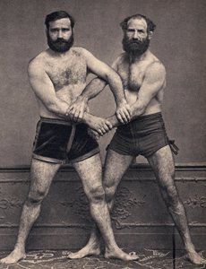 レスラーのマルセイユ兄弟の肖像。写真、19世紀後半、パリColl.セルバ。 作： Unknown photographer