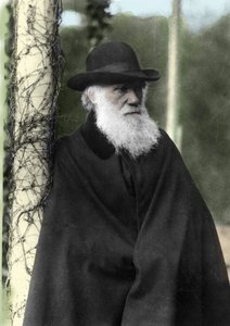 1881年、イギリスの博物学者チャールズ・ダーウィン（1809-1882）の写真。 作： Unknown photographer
