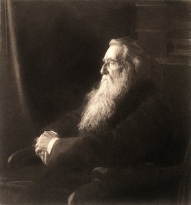 イギリスの美術評論家ジョン・ラスキンを写した写真の複製品 作： Unknown photographer