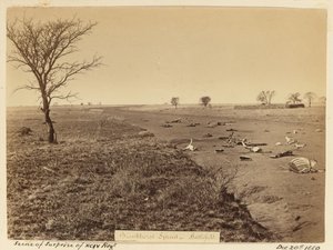 ？xciv連隊の驚きのシーン？、1881 作： Unknown