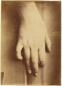手の習作、1865年（写真） 作： 未知の写真家