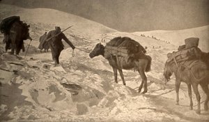 フランスとイタリアの陣地は海抜2メートル以上の積雪がある。 作： Unknown photographer