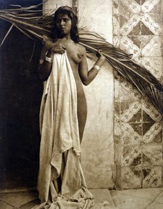 裸でポーズをとる若いベルベル人女性1890年頃の写真