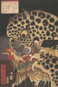 「両国の虎」、1860 年 8 月、広景によるシリーズ「真の情景」より。 作： Utagawa Hirokage