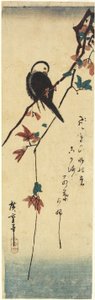（メイプルブランチの鳥）、1830-1858